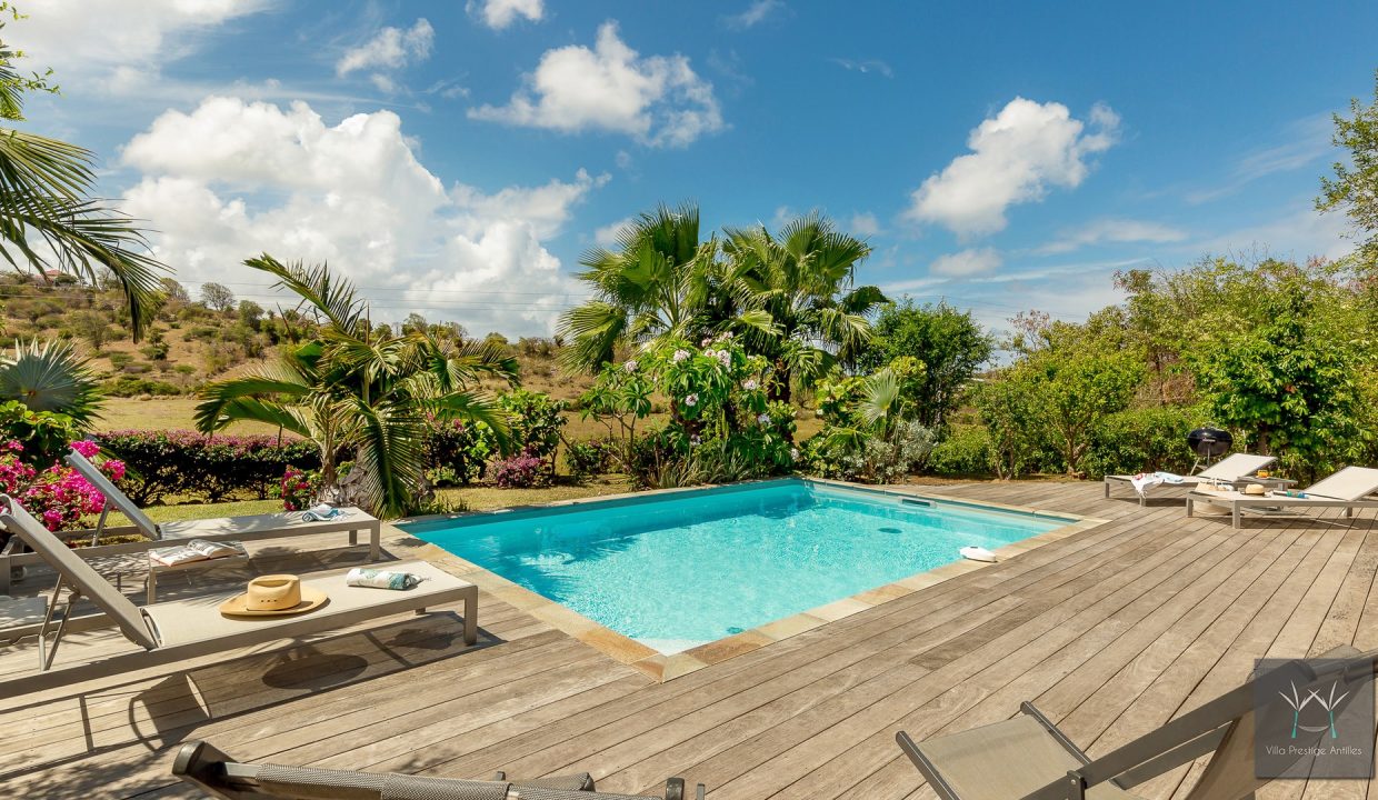 Blue Palm (6)