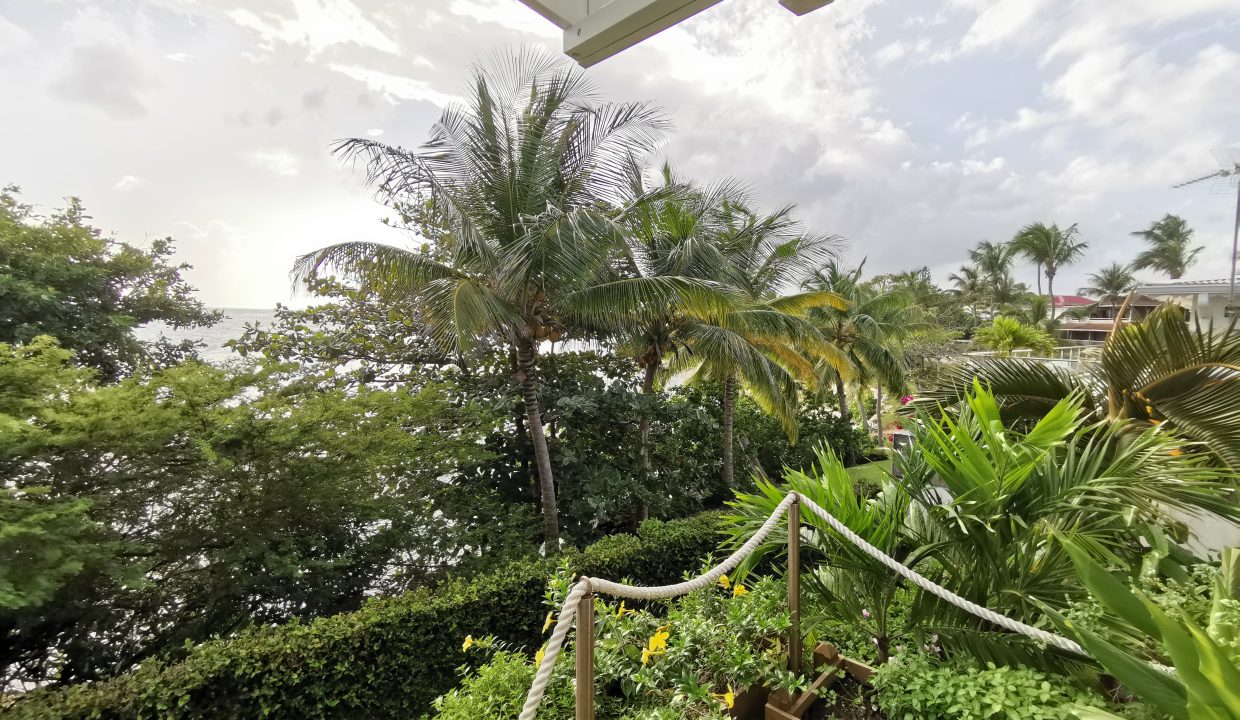 hdr