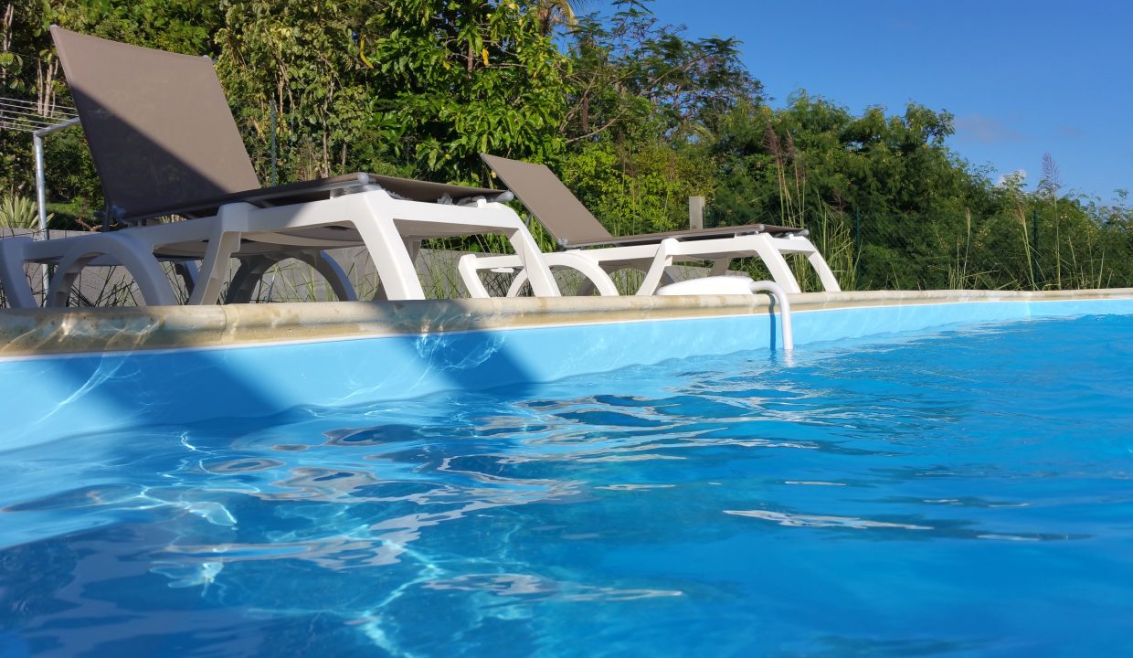 piscine alarme ok
