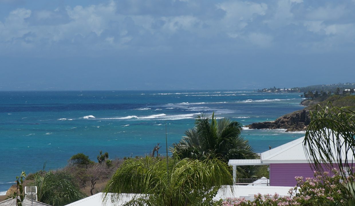 vue depuis la terrasse