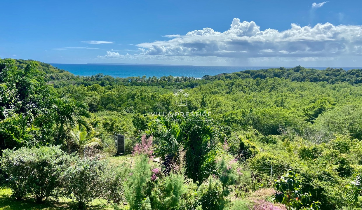 Famille Piscine Pied dans l'eau Bord de mer Guadeloupe Vacances