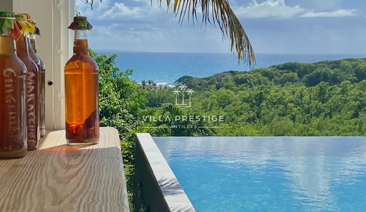 Villa Prestige Guadeloupe Famille Vacances Vue mer