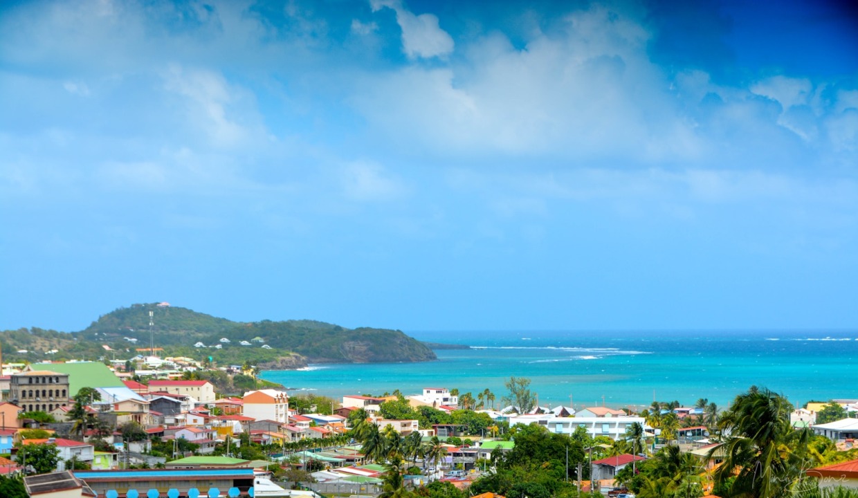 a view of a city with a body of water in the background