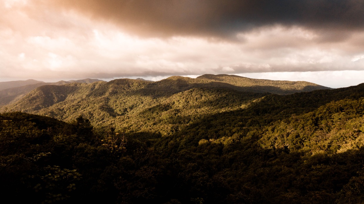 Renting a villa in the heart of lush vegetation in Guadeloupe