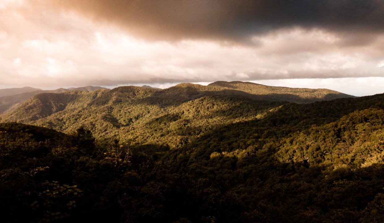 Renting a villa in the heart of lush vegetation in Guadeloupe
