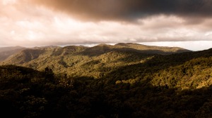 Renting a villa in the heart of lush vegetation in Guadeloupe